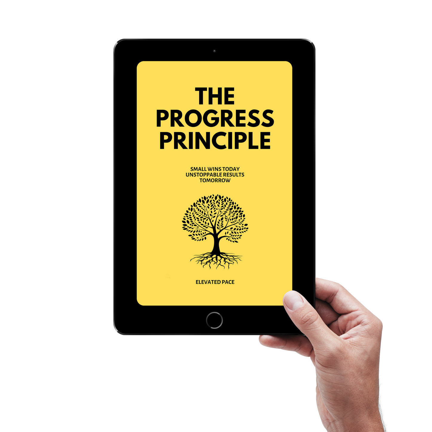 The Progress Principle