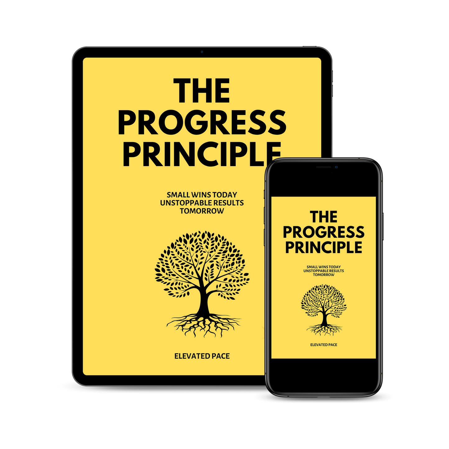 The Progress Principle